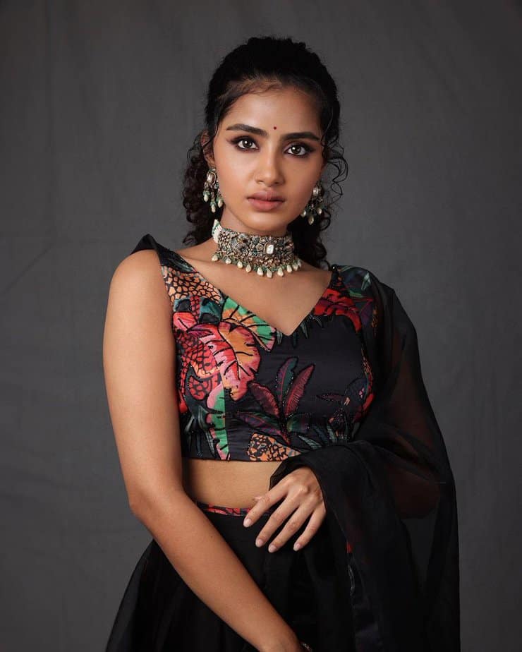 anupama parameswaran - updatenews360