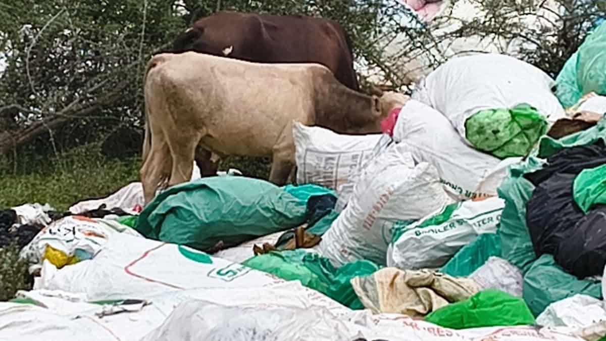 Kerala Medical waste dumped in Nellai nadukkallur