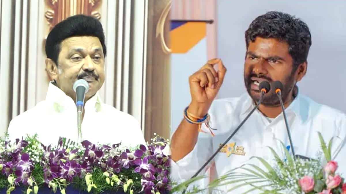 Annamalai Criticized CM Stalin