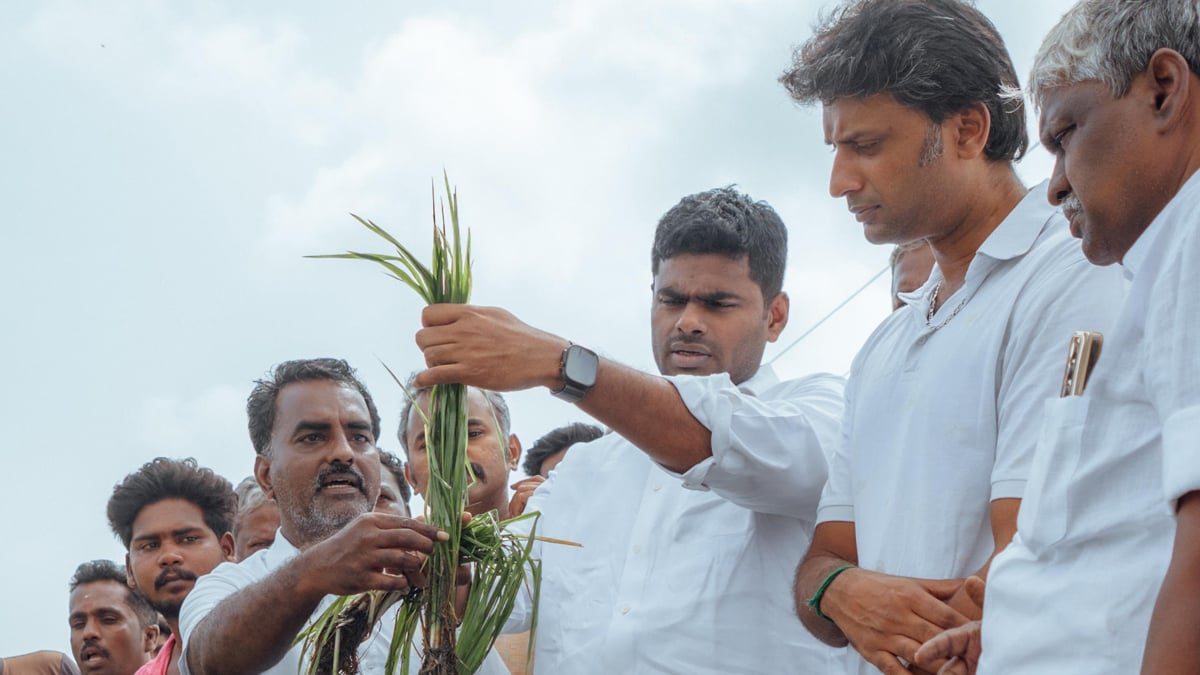 Annamalai on People throw mud to Minister Ponmudi 