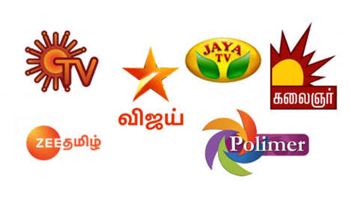 Total New Serials Telecast in 2024