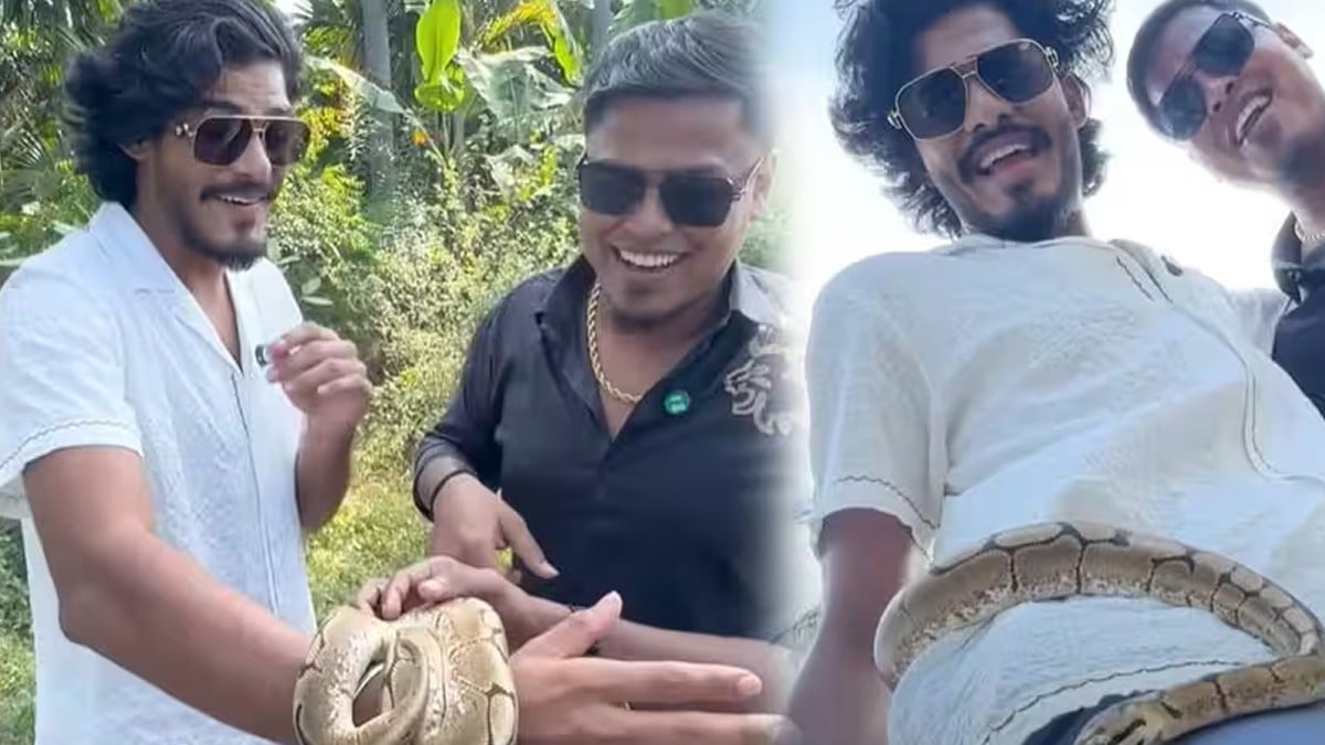 TTF Vasan snake Viral Instagram Video
