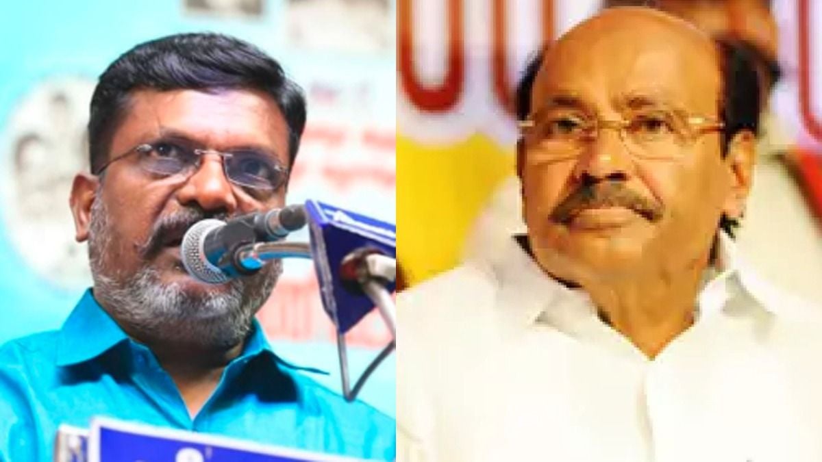 Thirumavalavan On neymeli issue Ramadoss claim 