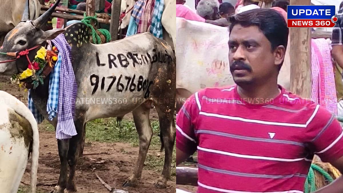 Jalliakttu Bull and his owner Dead