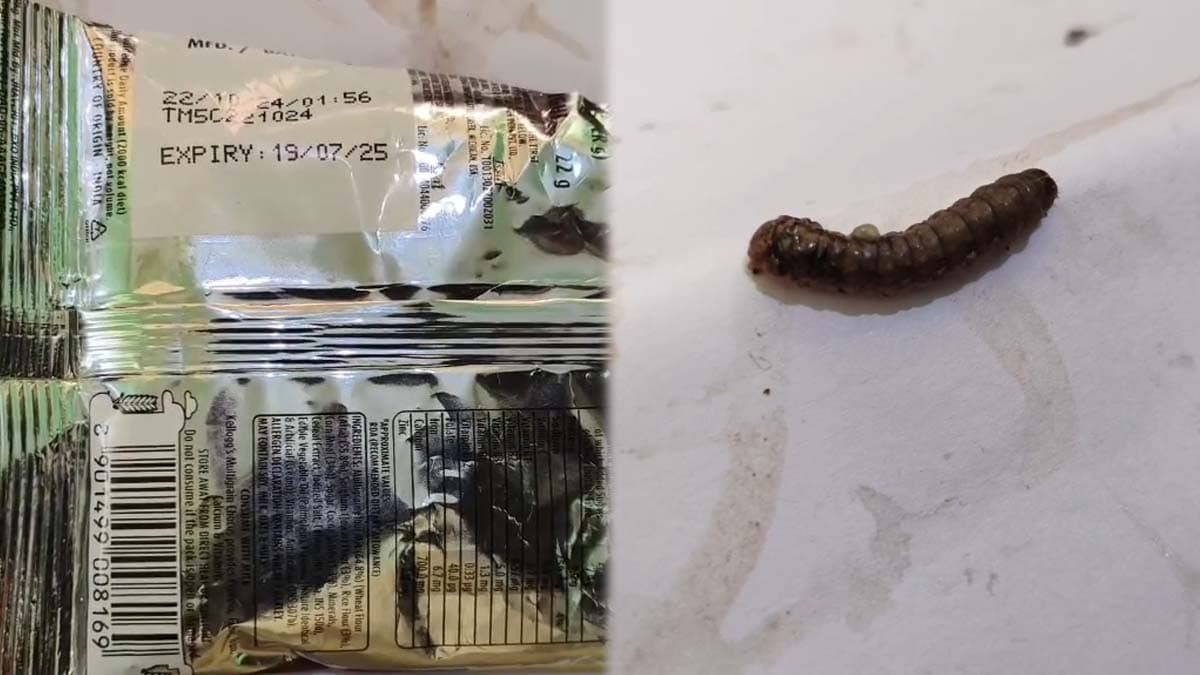 Worm Found in Chocos