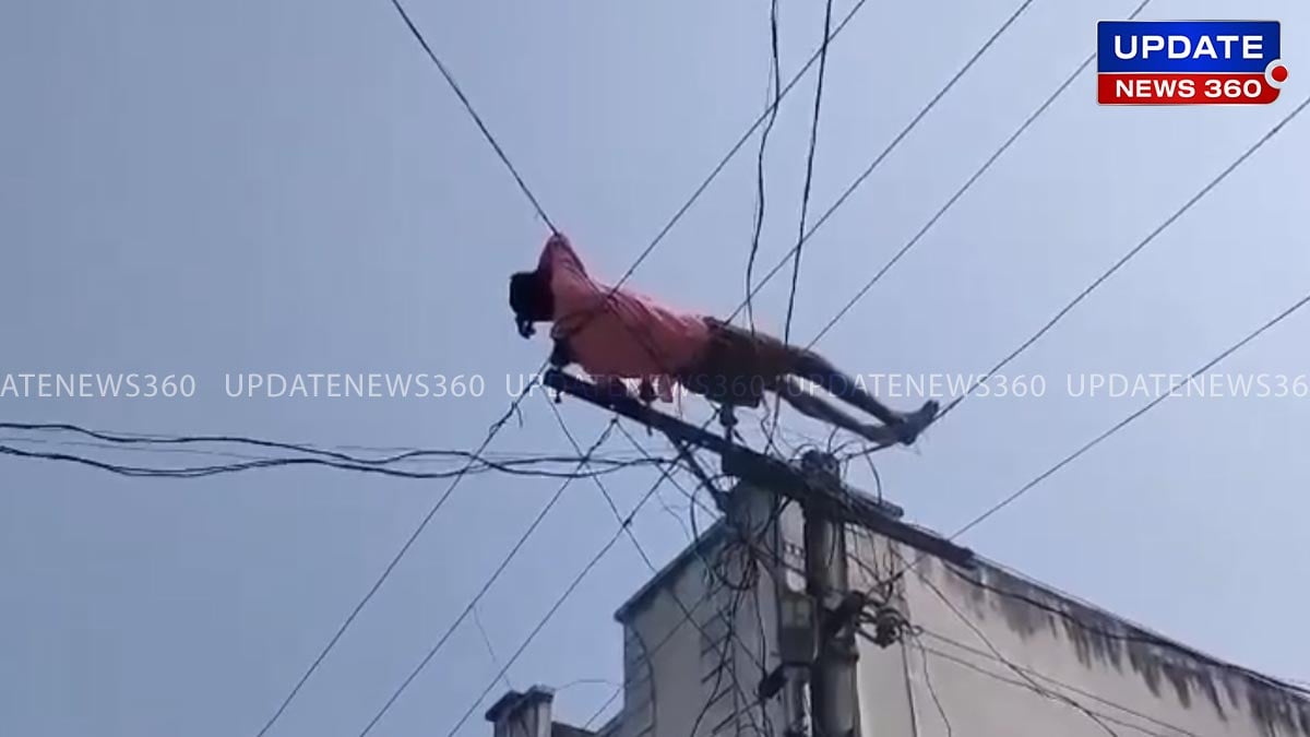 Youth Threatened his mother to climbing up pole