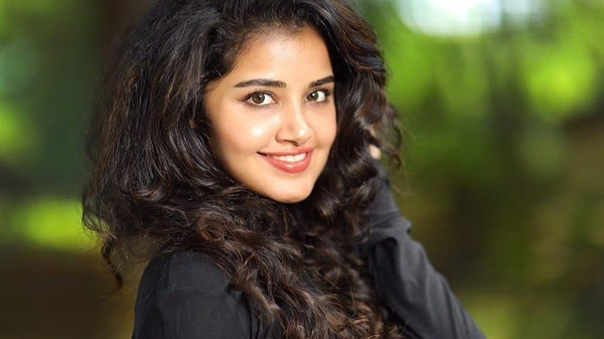 Anupama Parameswaran love statement