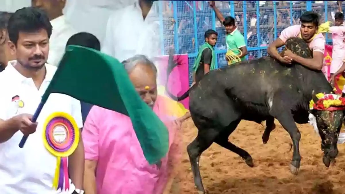 Alanganallur Jallikattu highlights