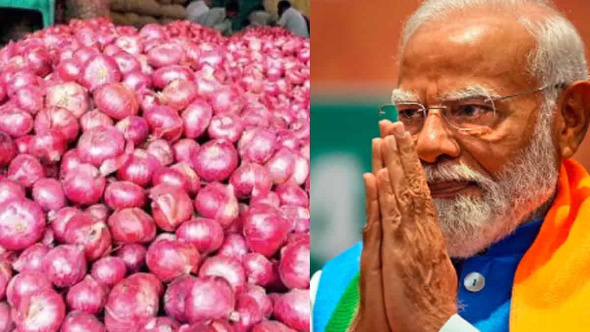 Why Onion price lost the delhi by BJP 