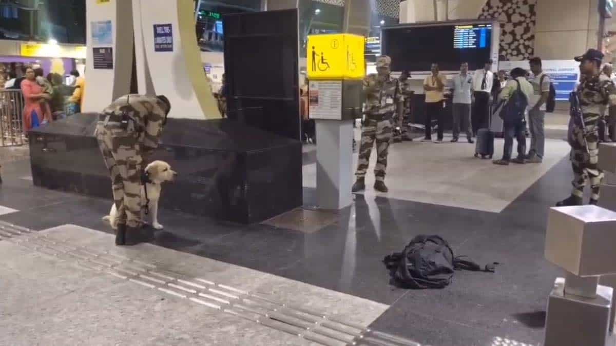 Is there a bomb at Coimbatore airport... Mystery bag causes panic