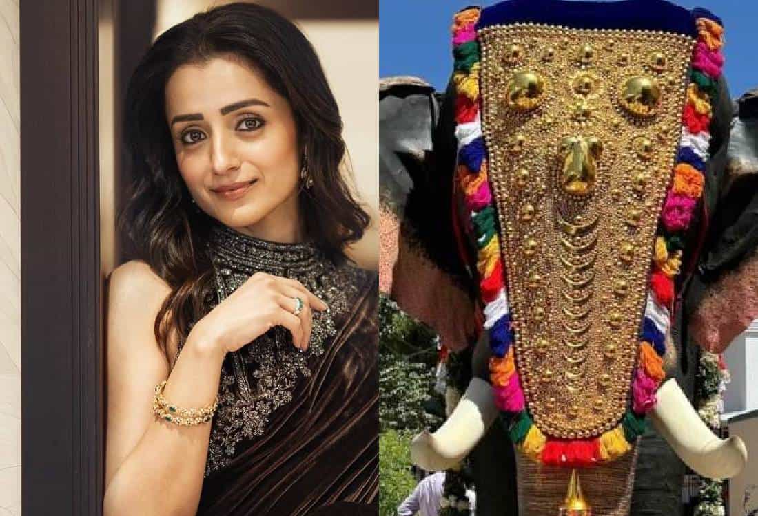 இயந்திர யானையை கோவிலுக்கு தானமாக வழங்கிய திரிஷா? ஒரு யானையோட விலை இவ்வளவு லட்சமா? 